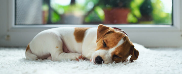 Ventaneria-ventanas-5-1-1500x615