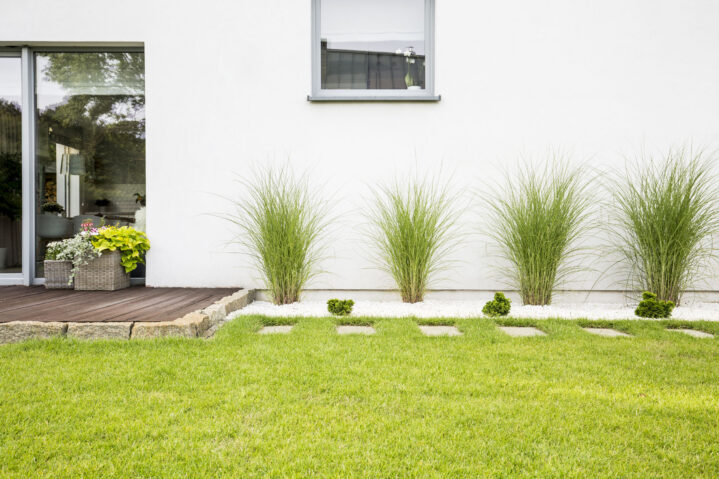 Plants and green grass on terrace of white house with window