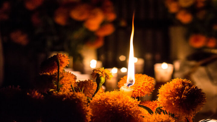 vidusa_altar_de_muertos