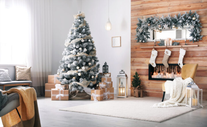 Vidusa_decoración