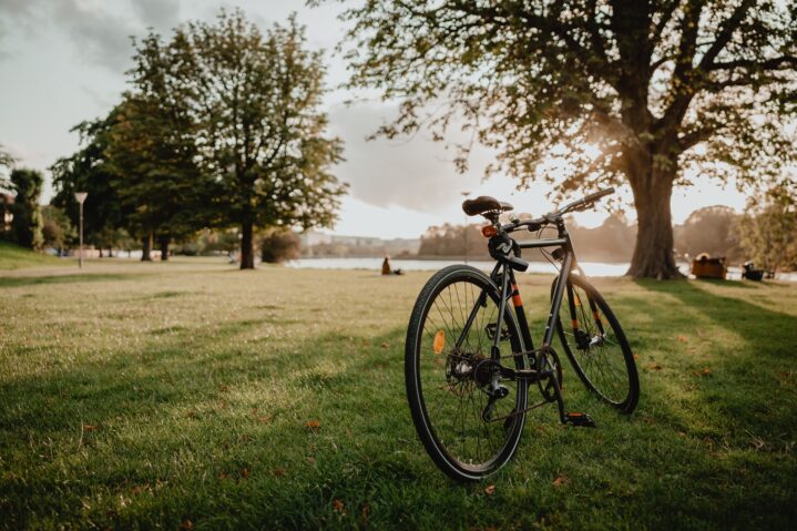Bicicleta_Vidusa