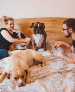 A cozy bedroom scene featuring a couple lounging on a bed with four dogs. The woman is lying on her