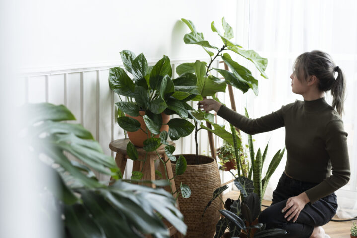 Woman tending and caring for her plant