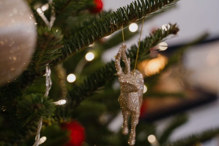 glittering-reindeer-ornament-hanging-on-christmas-2025-10-08-09-33-28-utc (1)